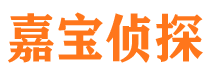 禄丰市调查公司